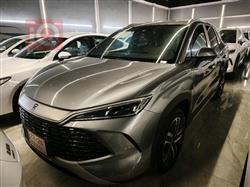 بي واي دي سونغ L DM-i